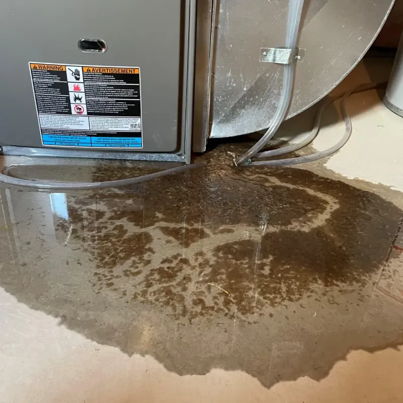 Appliance Leak Cleanup in State College, PA